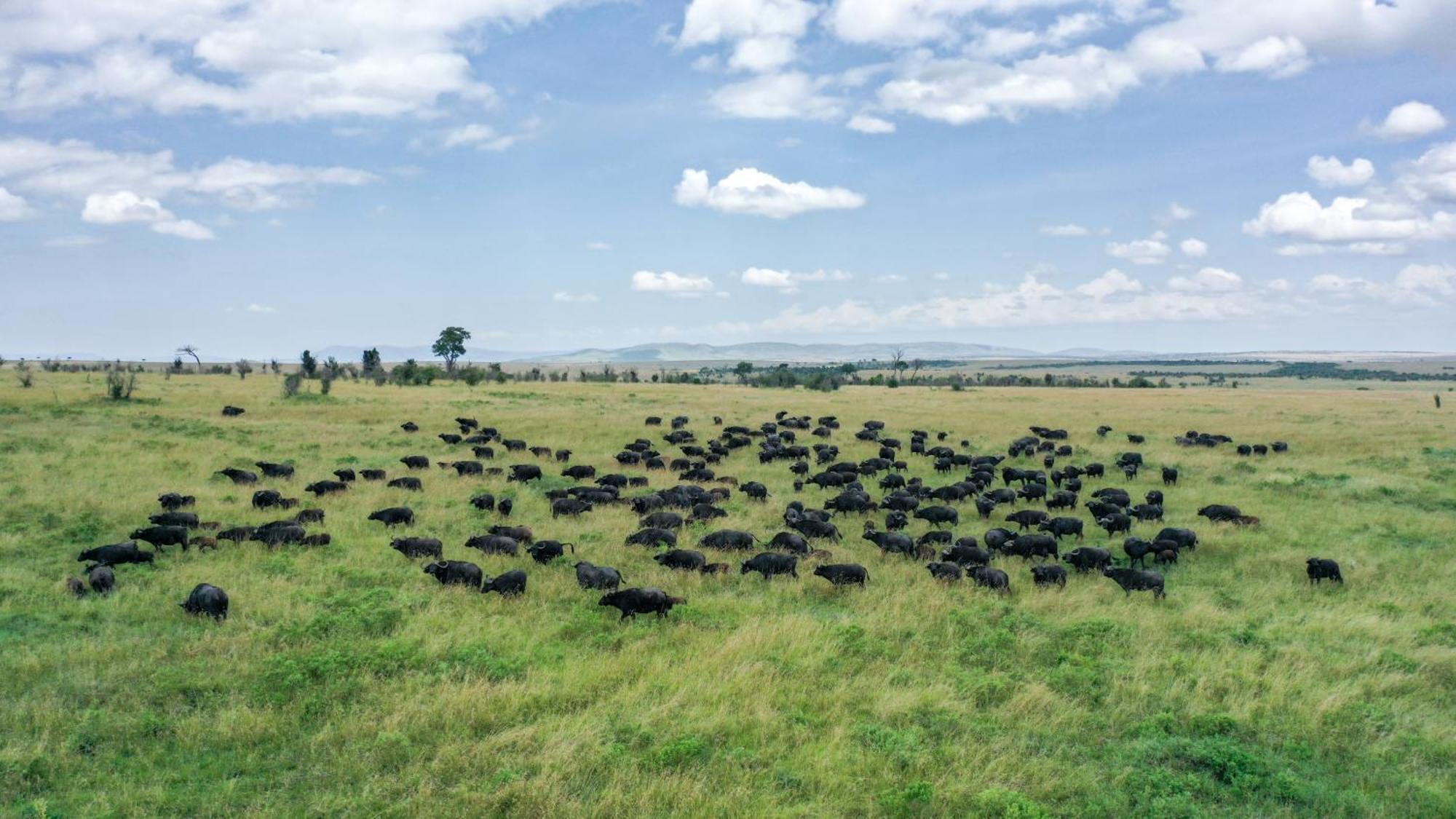 Sentrim Mara Lodge Ololaimutiek エクステリア 写真