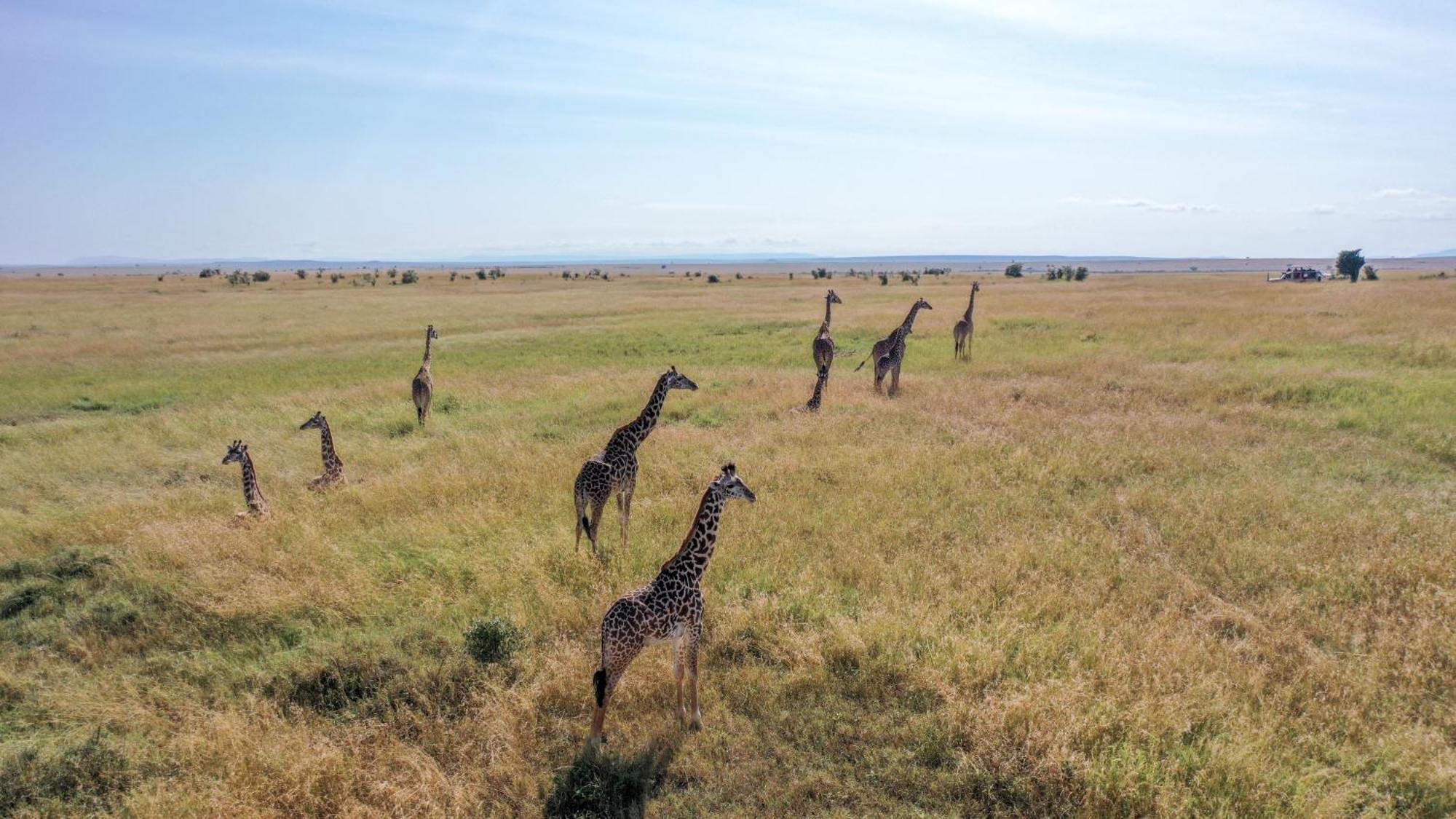 Sentrim Mara Lodge Ololaimutiek エクステリア 写真